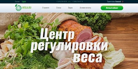 Вёрстка сайта Центр регулировки веса